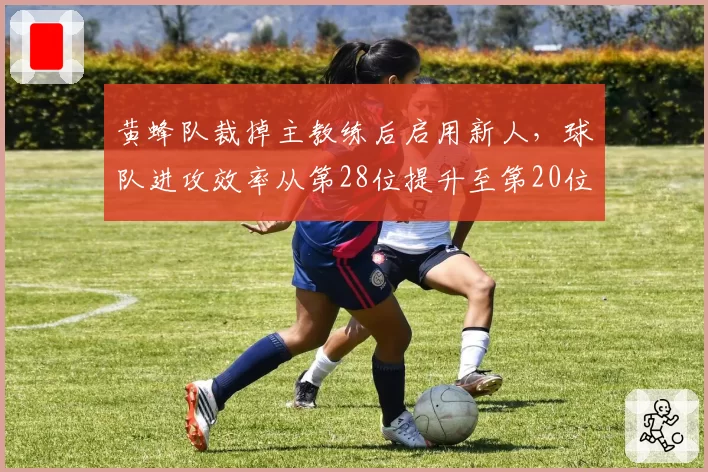 黄蜂队裁掉主教练后启用新人，球队进攻效率从第28位提升至第20位，但防守端下滑至第30位