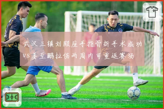 武汉三镇刘殿座手指骨折手术成功vs姜至鹏拉伤两周内可重返赛场
